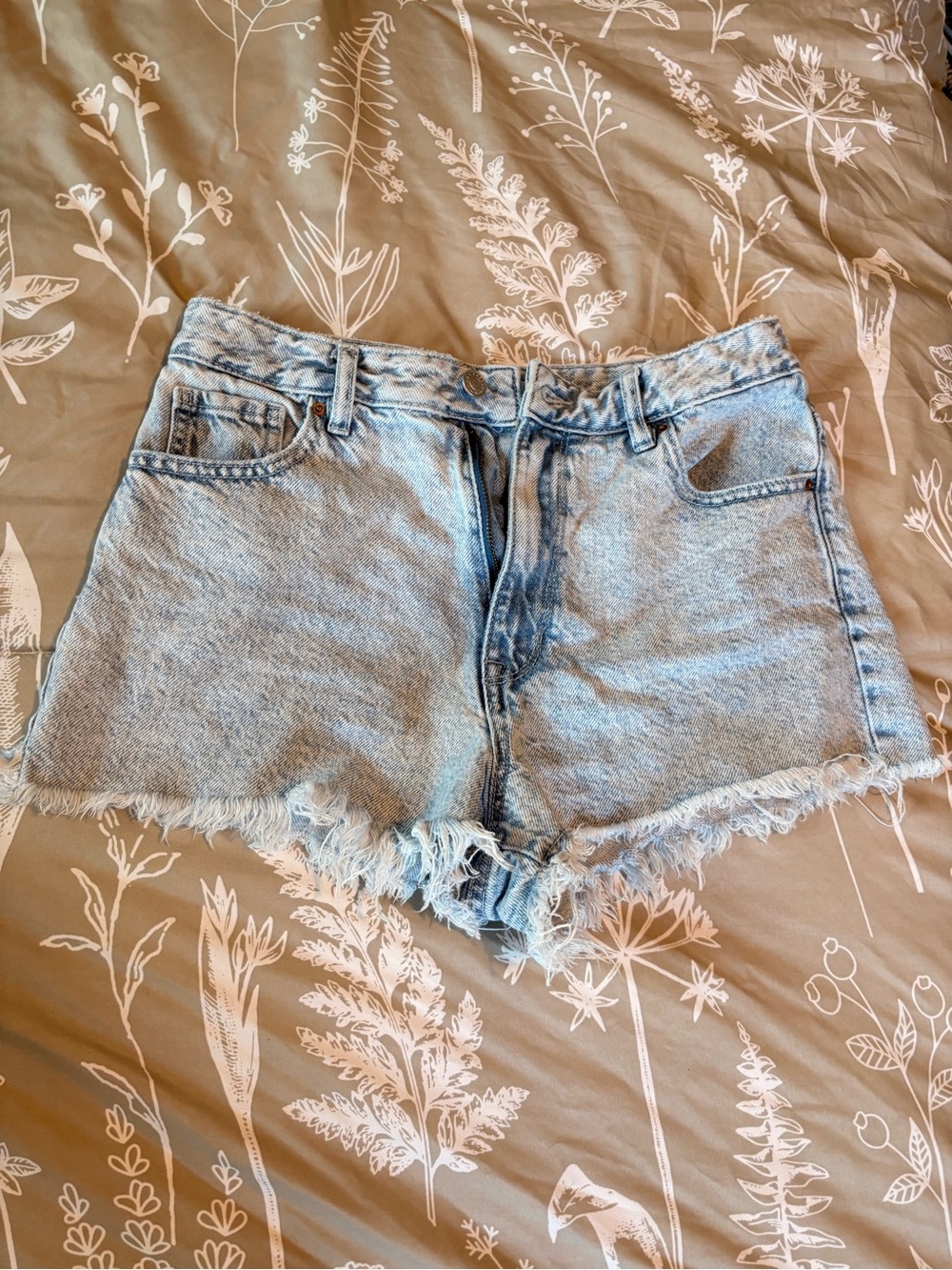 Pacsun size 27 Light Wash Denim Frayed Hem Women's Shorts